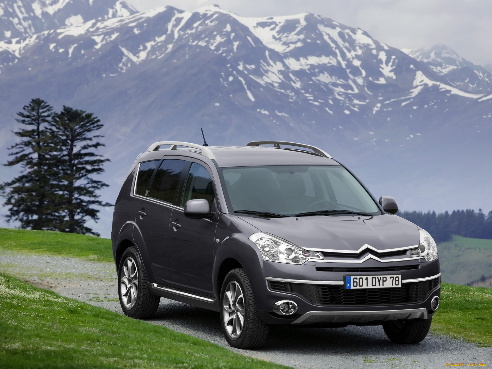 , citroen